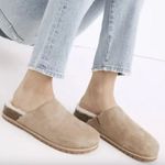 Madewell  The Layne Clog Mule in Nubuck and Shearling Walnut Shell Size 9 Photo 1