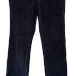 Pilcro  Navy Button Up Corduroy Pants NWOT‎ Size 28 Photo 0