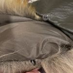 Love Token olive green vegan leather with faux fur removable collar moto jacket Size M Photo 11