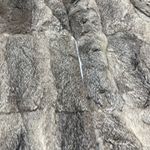 Opera Rabbit Fur Winter Coat Size Medium Gray Photo 3