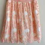 AQUA Peach Lace Floral Mesh Belted Party Dress, Tulle Cocktail Dress, Size 10 Photo 4