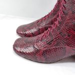 Kate Spade Womens Knee High Combat Boots Size 9.5 Snake Print Moto Gothic Photo 4