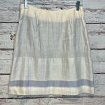 TSE Silk Blend Skirt Off White/Blue-8 Photo 1