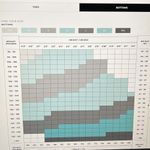 Bombshell sportswear BOMBSHELL THIGH HIGHS HEATHER Photo 2