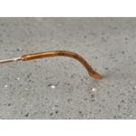 Elizabeth Arden Eyeglasses EA668 2 Gold Designer Frames Only 53 Photo 4