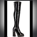 Schutz NWOT  Darlyn Boots Photo 1