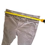 Ann Taylor  Loft Skinny Pants in Light Brown Photo 3