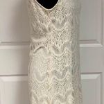 Stella Luce Lace cream dress. Fully lined. small Photo 1