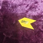 Steve Madden Mirabelle Top in Plum Photo 4