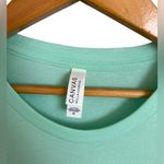 Bella Canvas  Light Green Tee Teaching Is A Walk In The Osrk Jurassic Park Photo 2