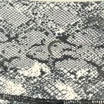 Zyia  Active Cobra‎ Metallic Pocket Conpression Leggings Size 2-4 light N tight Photo 11