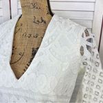 Alexia Admor  Lace Front Bell Sleeve Sheath Dress Small Ivory‎ White Half Sleeve Photo 4