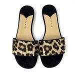 Theory NWT  Jasper Cheetah Slide Sandal Mules 36 Photo 1