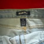 Blue Spice Denim Skirt  Blue Zipper Front Photo 2