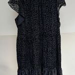 Loft Holiday Black Leopard Print Velvet Swing Dress Photo 4