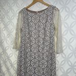 Eliza J ELIZA‎ J Ivory Floral Lace Overlay Shift Dress Size 8 Photo 3