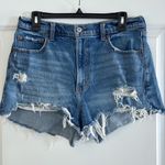 Abercrombie & Fitch High Rise Mom Shorts Distressed Medium Wash Photo 0