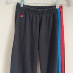 Aviator Nation 5 Stripe Sweatpants Size XS Jogger Gray Photo 1