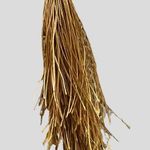 Uncommon James  Earrings Strawberry Fields Jasper Gold Tone Tassel NEW Photo 2