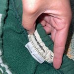 Urban Renewal Packers Skirt Photo 2