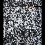 Nadia Tarr Skirt Top 2 piece SET Bodycon High Waisted Crop Splatter Print Small Black Photo 5