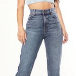 Revice Denim Farrah Jeans/ Blue Muse Photo 0