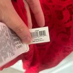 BCBGMAXAZRIA Hanah Red Dress Semi Sheer Sleeveless Lace Overlay Scallop Size 2 Photo 4