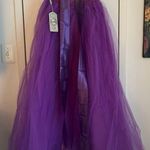 🆕 WDPL Women's A Photo 0