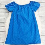 ZARA  Blue Puff Sleeve Dress Photo 0