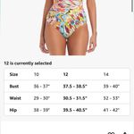 Bleu Rod Beattie Break The Mold Shirred Underwire One-Piece 14 $124 NEW Photo 2