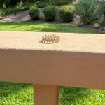 Pandora Size 6 Daisy Flower Ring Photo 0