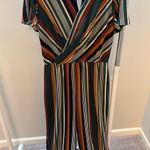 Apt. 9  Striped Jumpsuit Photo 0