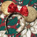 Disney  Minnie House Ears Photo 1