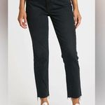 Daze Daily Driver High Photo 0