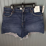 Abercrombie & Fitch  The Dad short‎ high rise  Denim  sz 34 18 PLUS Cut Off Boho Photo 0