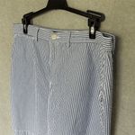 Ralph Lauren Sport Women's Striped Knee Length Skirt Blue Size 8 Photo 4