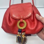 Loewe  Mini‎ Red Leather Tassle Crossbody Bag Pre Authenticated Photo 3