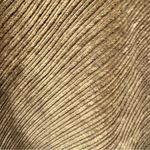 Ivy Collectibles Brown Corduroy Skort Shorts Cottagecore NEW Size 12 Photo 8