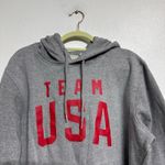 Team USA Gray 2024 Olympics Wordmark Pullover Hoodie Sz L Size L Photo 2