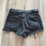 Citizens of Humanity  Annabelle Vintage Relaxed Short Photo 2