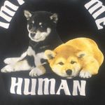 ⬇️ 2 Marked Listings for $25 Photo 1