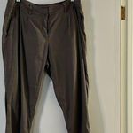Eileen Fisher  Linen blend dress pants Photo 0