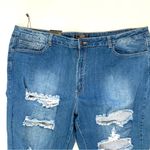 L&B  Blue Distressed High Rise cropped Women’s Plus Jeans Size 22 New Photo 9