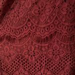 Francesca's Burgundy Lace Dress Photo 2