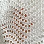 Ann Taylor  White Eyelet Skirt Photo 1