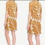 Ann Taylor Fan Leaf Sweater Dress Photo 1