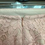 EXPRESS Light Blush Pink Floral Lace Pencil Skirt Lined Size 00 XXS NWT Photo 3