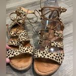 Dolce Vita Cheetah Print Sandals Brown Size 8.5 Photo 1