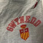 Gwynned Mercy University League Women's Shorts, Small Gray Photo 1