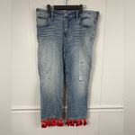 Pilcro and the Letterpress NWT  Mid-Rise Slim Relaxed Fit Boyfriend Jeans Size 32 Photo 3